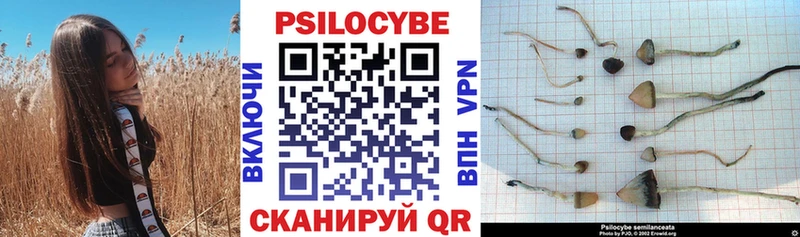 купить закладку  Алексеевка  Псилоцибиновые грибы прущие грибы 